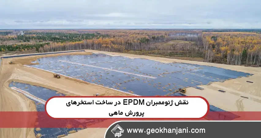 نقش ژئوممبران EPDM در ساخت استخرهای پرورش ماهی سردابی
