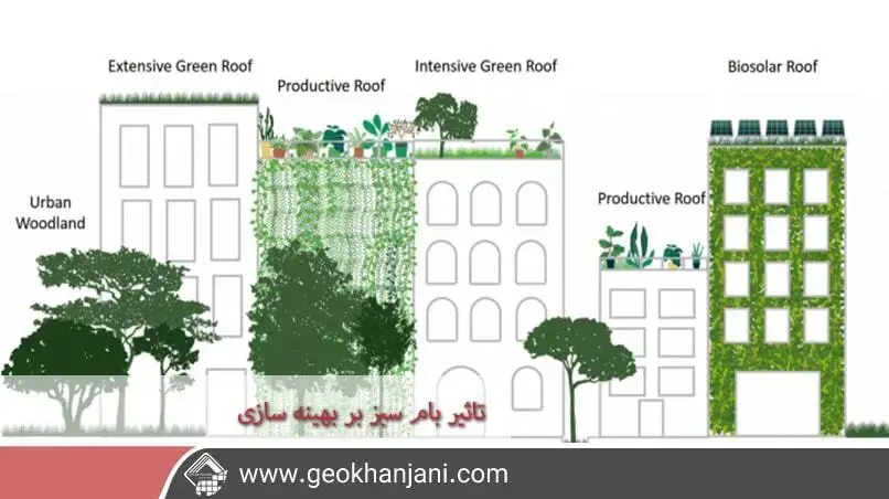 بهینه‌سازی مصرف انرژی در اجرای بام‌های سبز