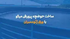 ساخت حوضچه پرورش میگو با ورق ژئوممبران