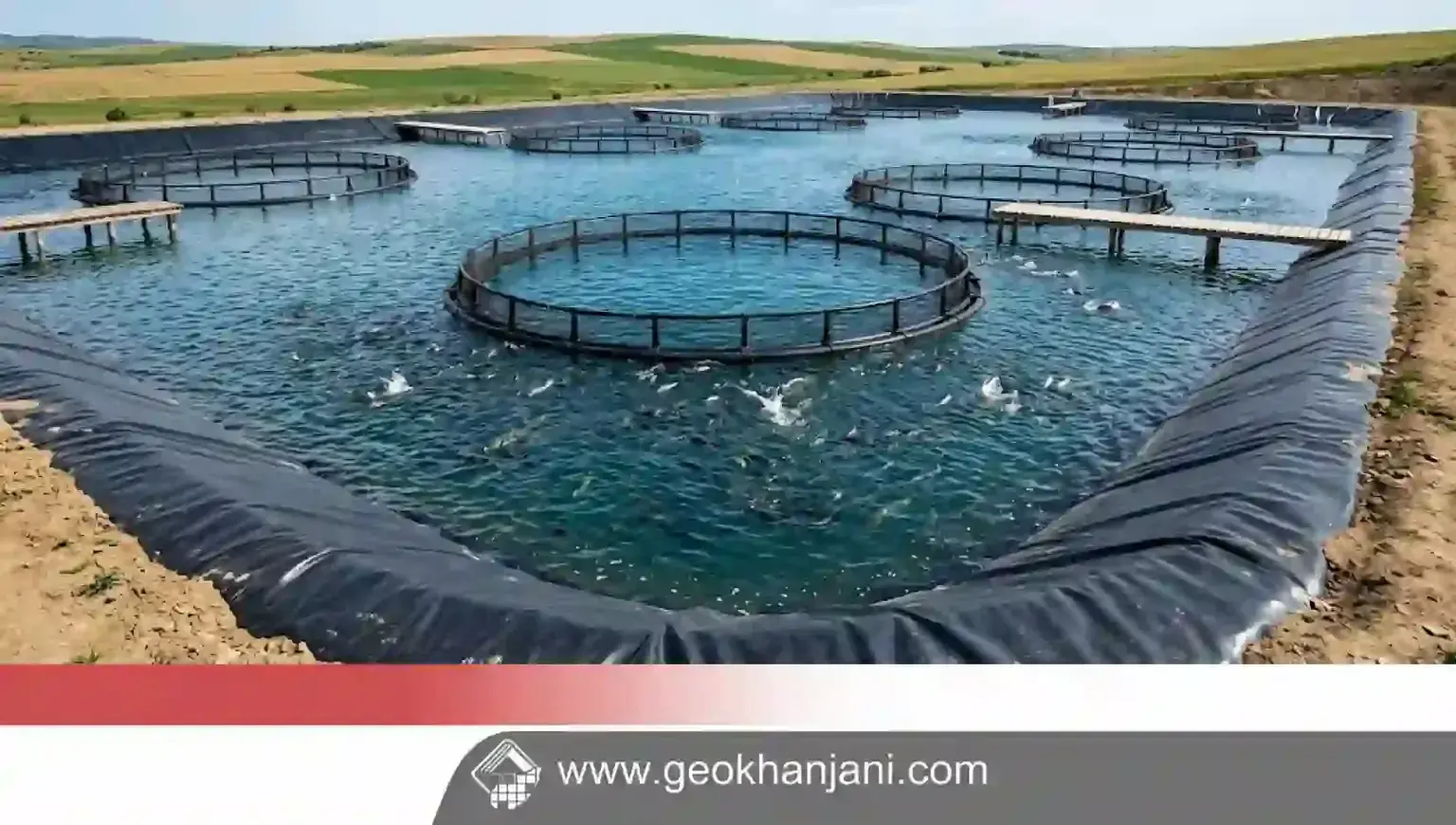 ما أفضل جيوممبرين لبركة تربية الأسماك