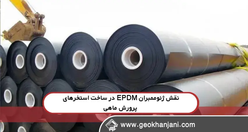 نقش ژئوممبران EPDM در ساخت استخرهای پرورش ماهی سردابی دوشنبه ۲۷ مرداد - ۱۱:۴۰
