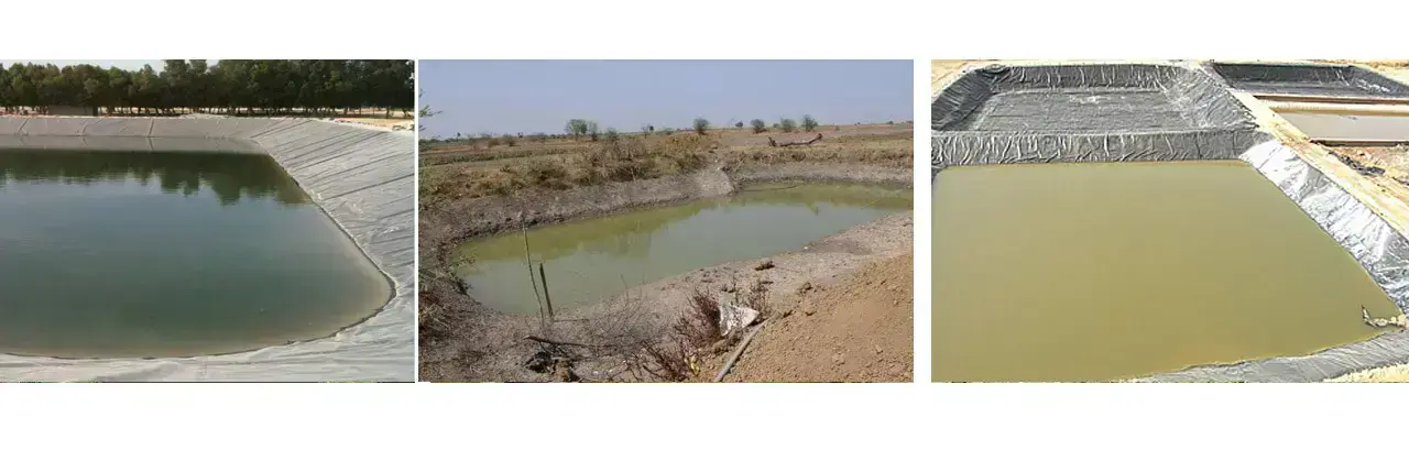 Excavated Pond