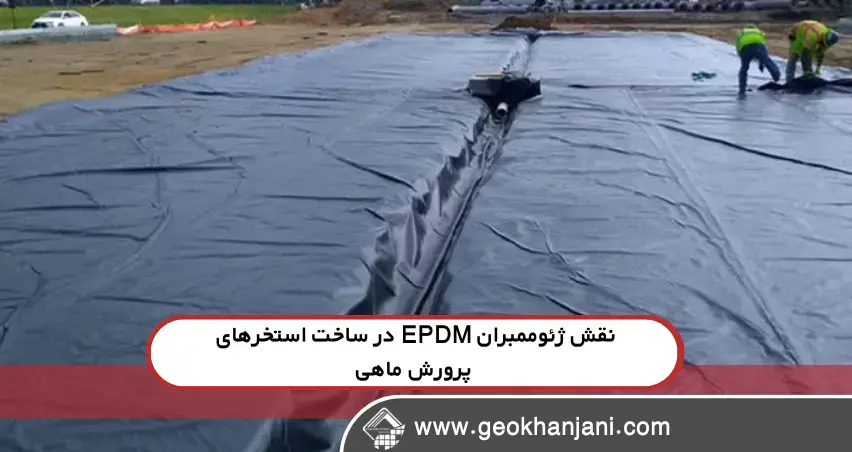 نقش ژئوممبران EPDM در ساخت استخرهای پرورش ماهی سردابی دوشنبه ۲۷ مرداد - ۱۱:۴۰ نقش ژئوممبران EPDM در ساخت استخرهای پرورش ماهی سردابی دوشنبه ۲۷ مرداد - ۱۱:۴۰