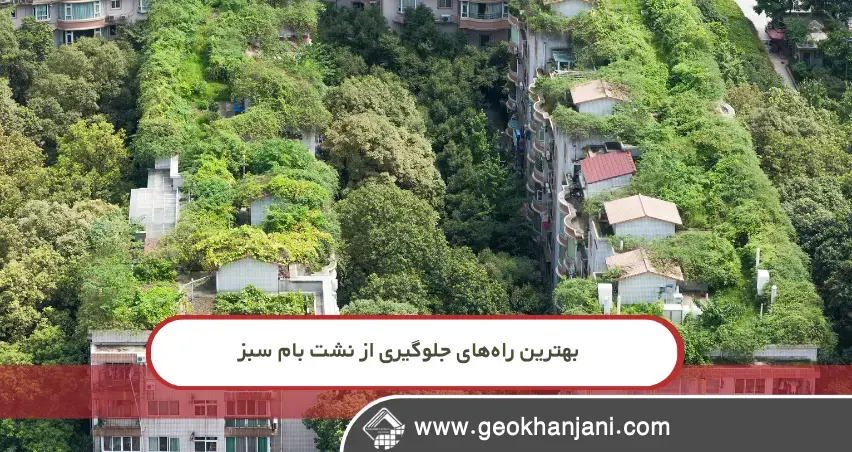 چرا ساختمان‌های نوساز بیشترین ریسک نشت بام سبز را دارند؟ بررسی فنی و عملی