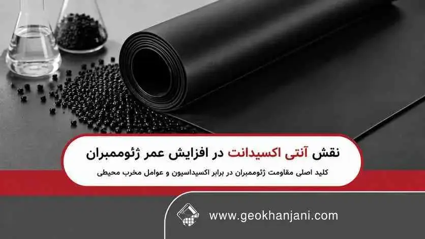 نقش انتی اکسیدانت در افزایش طول عمر ژئوممبران