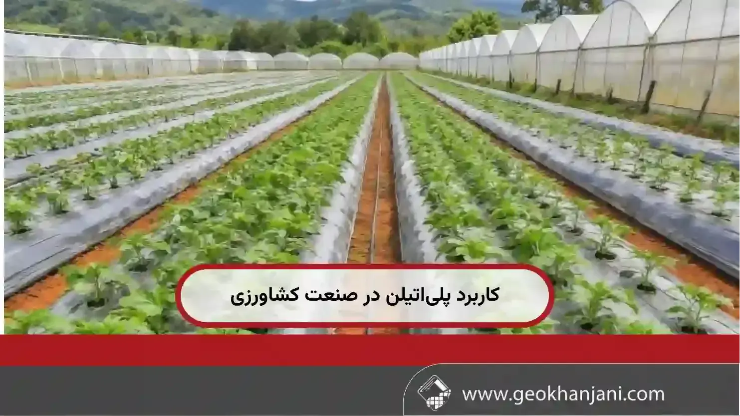 پلی‌اتیلن در صنعت کشاورزی