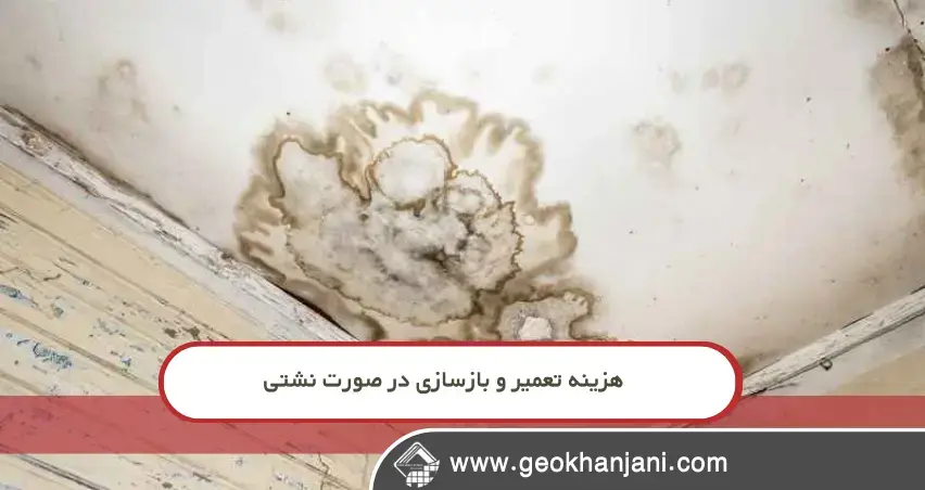 نشتی بام سبز در ساختمان‌های نوساز؛ واقعاً چرا این مشکل اتفاق می‌افتد؟