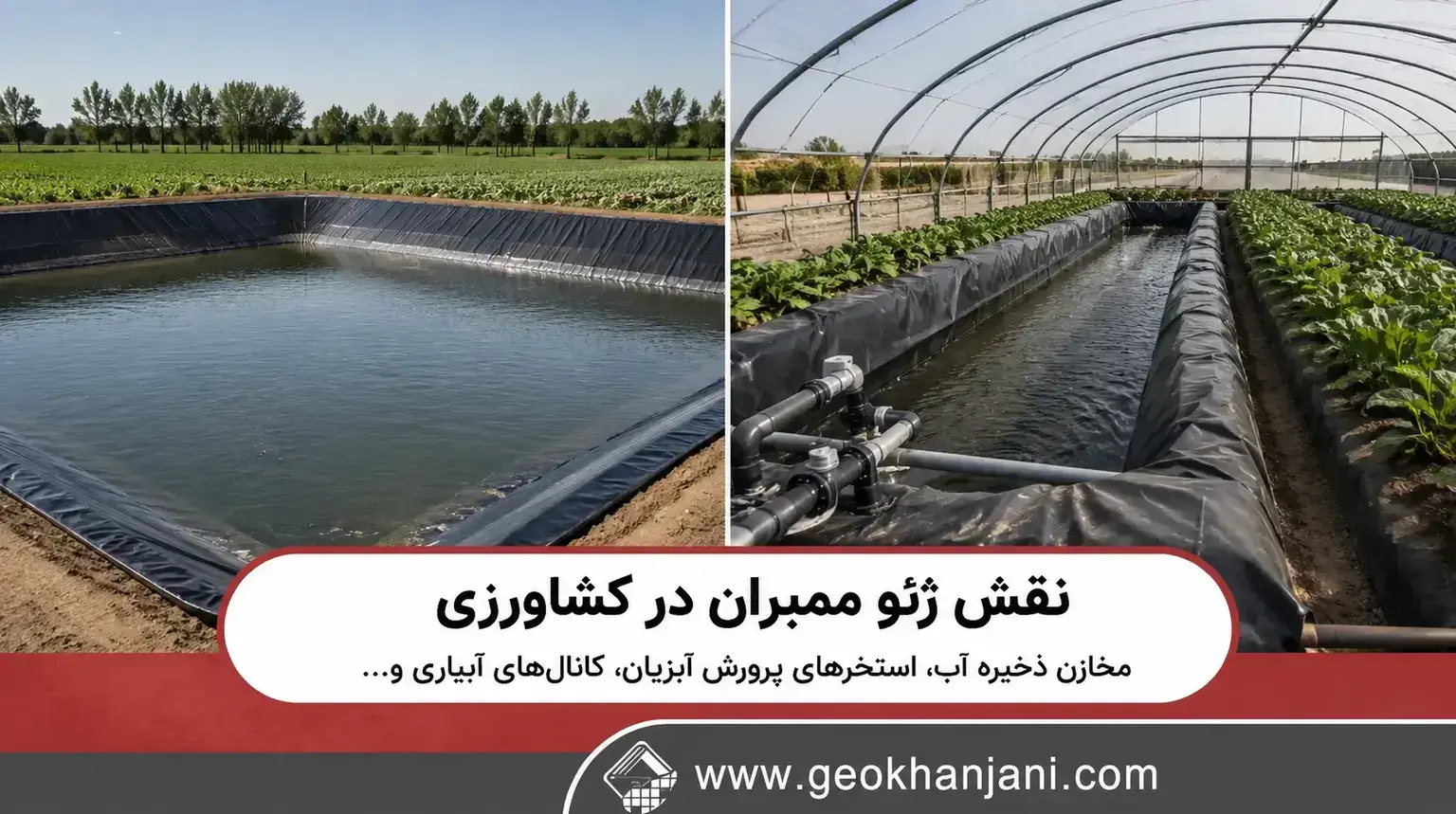 نقش ژئو ممبران در کشاورزی