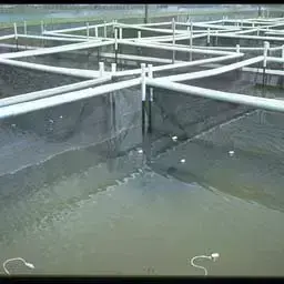 Balık yetiştirme havuzu inşaatı