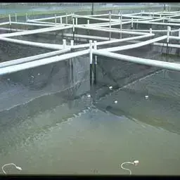 Construction of a fish breeding pond