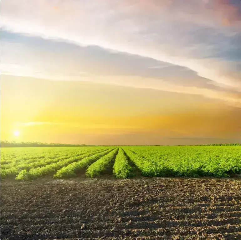بناء بركة زراعية