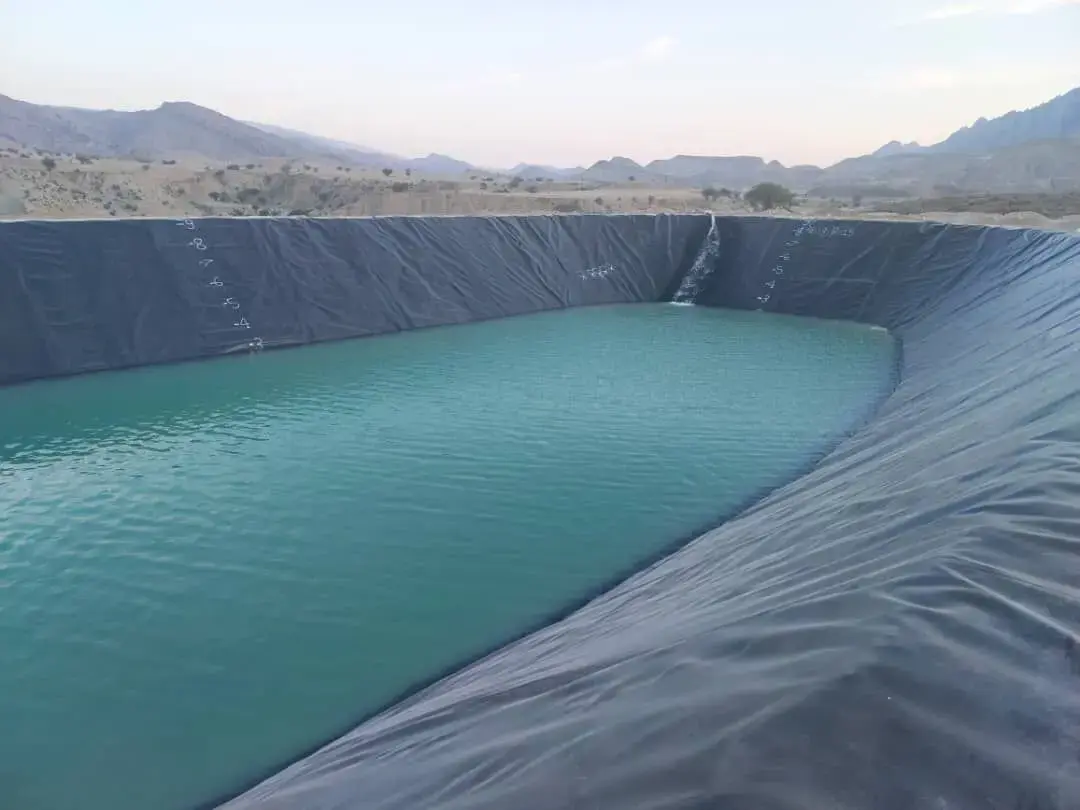 Pool Waterproofing & Lining Project | Bushehr | GeoKhanjani
